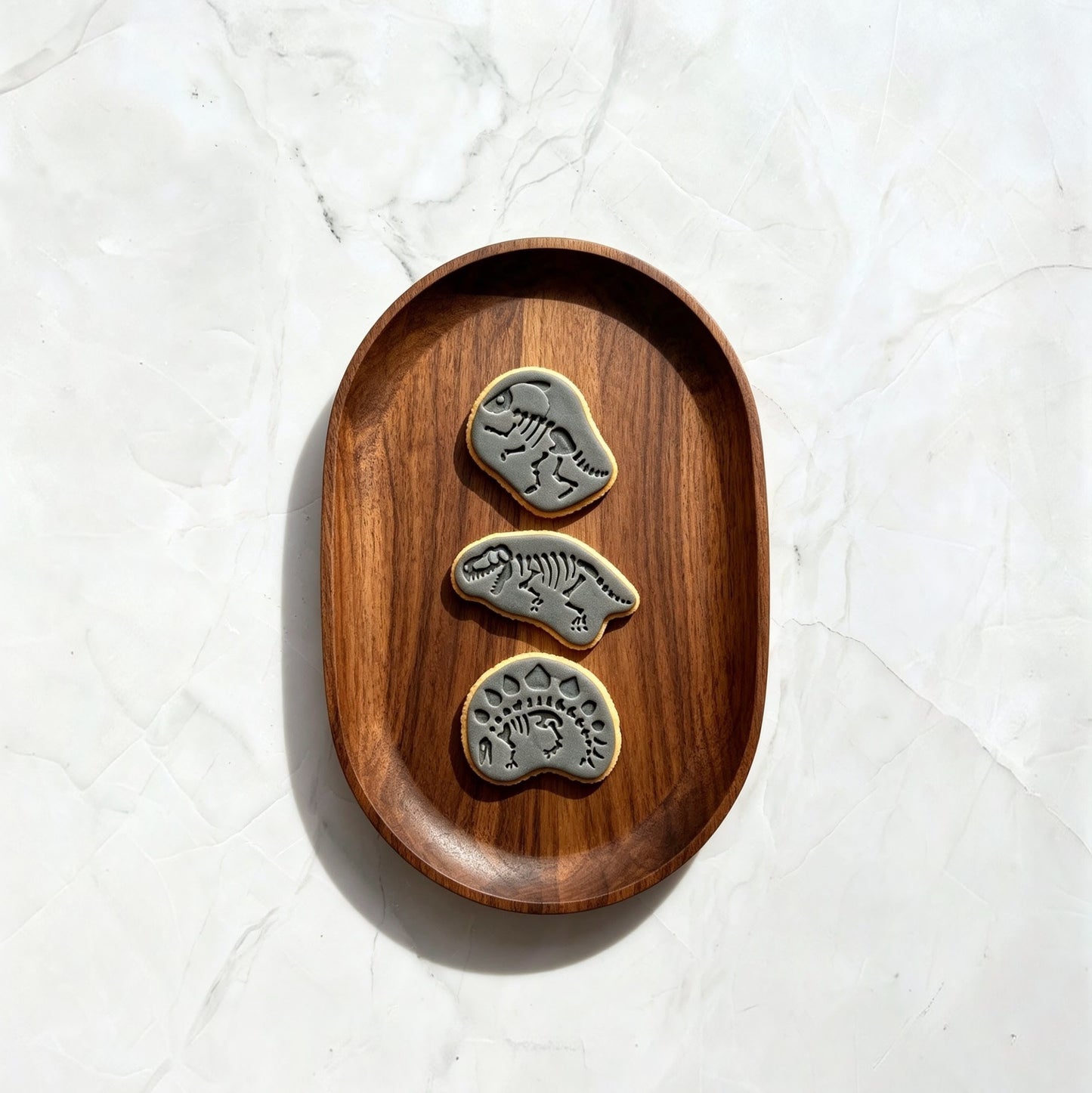 DINO FOSSIL BISCUITS
