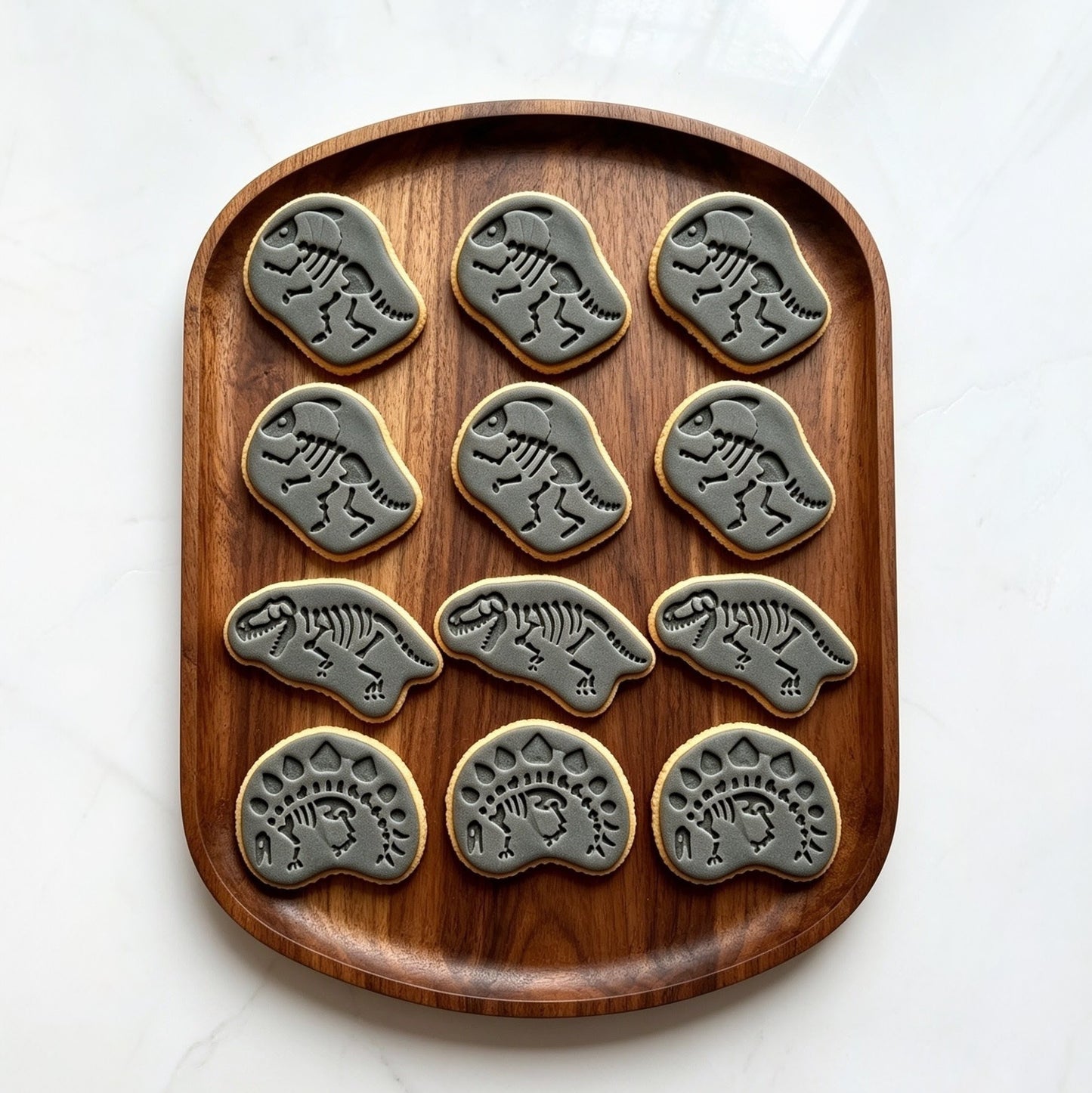 DINO FOSSIL BISCUITS