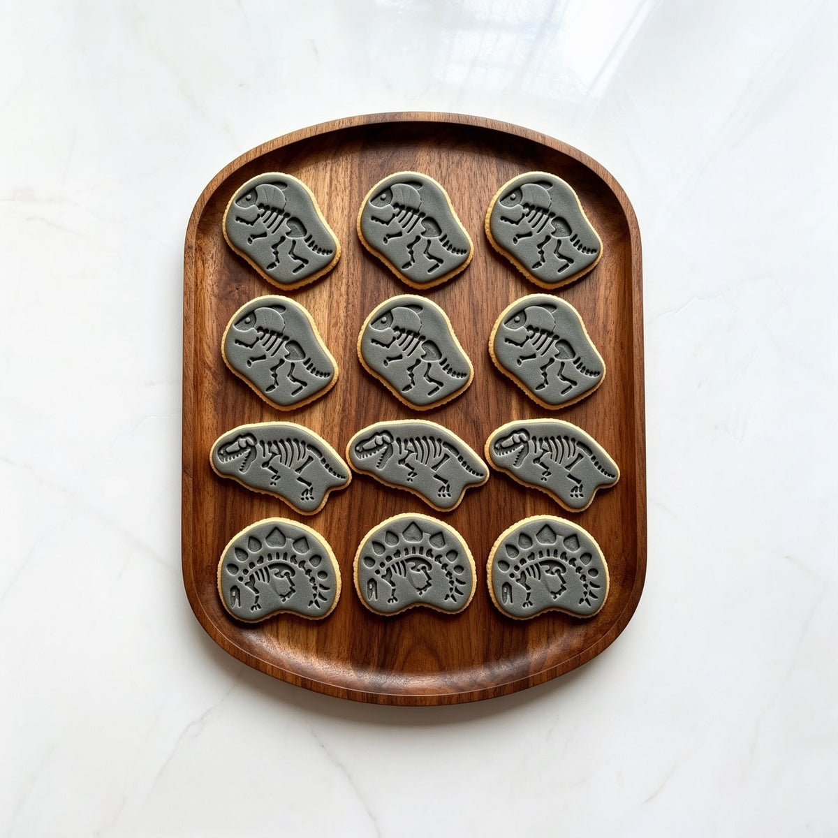 DINO FOSSIL BISCUITS| Boxes of 20+